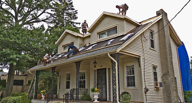 Best Emergency Roof Repair  in Forest Heights, MD